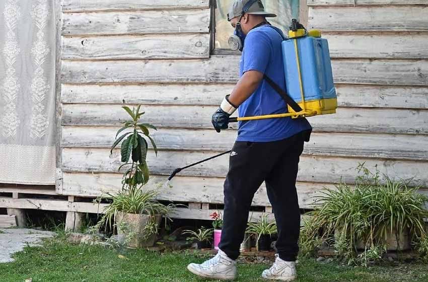 Dengue Reportaron La Primera Muerte Por La Enfermedad En Rosario Este