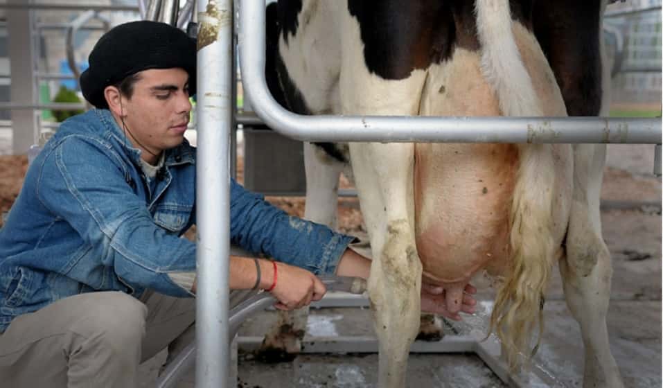 Massa presentó un programa para compensar el precio de la leche a los productores afectados por la sequía