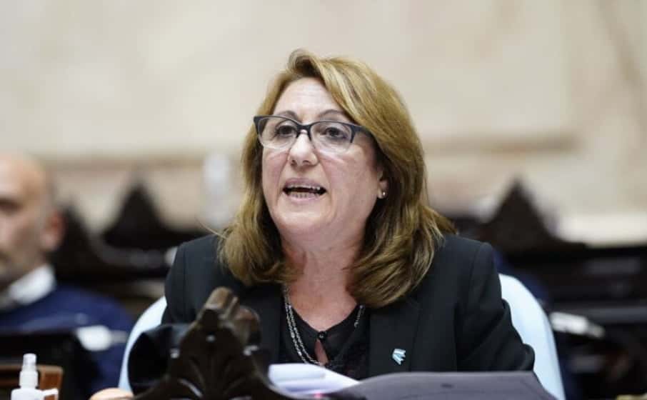 Ley ómnibus: “Hay muchos desacuerdos en la delegación de atribuciones al presidente”, señaló la diputada Mónica Fein