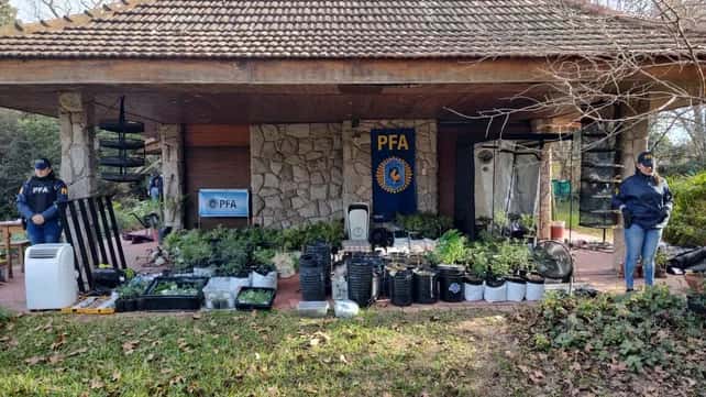 La Policía Federal allanó dos viviendas en Funes y Roldán dedicadas a la producción de marihuana