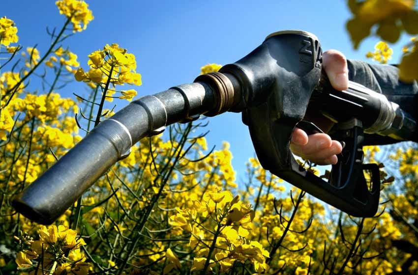 La provincia insiste con aumentar el corte de biodiesel ante la faltante de combustibles: «Desde Santa Fe se puede ayudar a mitigar la escasez»