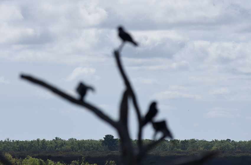 Comienzo de fin de semana mayormente nublado y con aumento de temperatura en Rosario