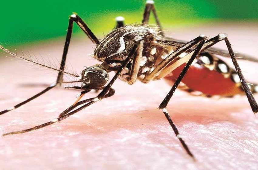 Los casos de dengue ya son 3210 en toda la provincia y crece la preocupación