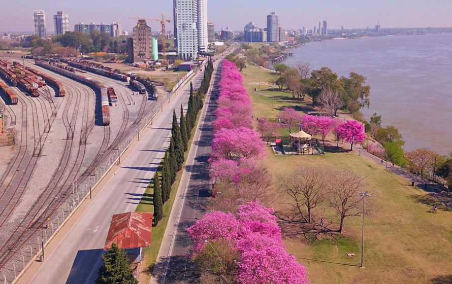 El clima para esta semana y una postal atípica: primavera en tiempos de Covid