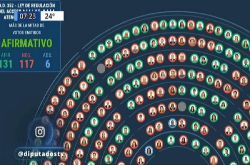 Diputados dio media sanción a la legalización del aborto y la discusión pasará al Senado