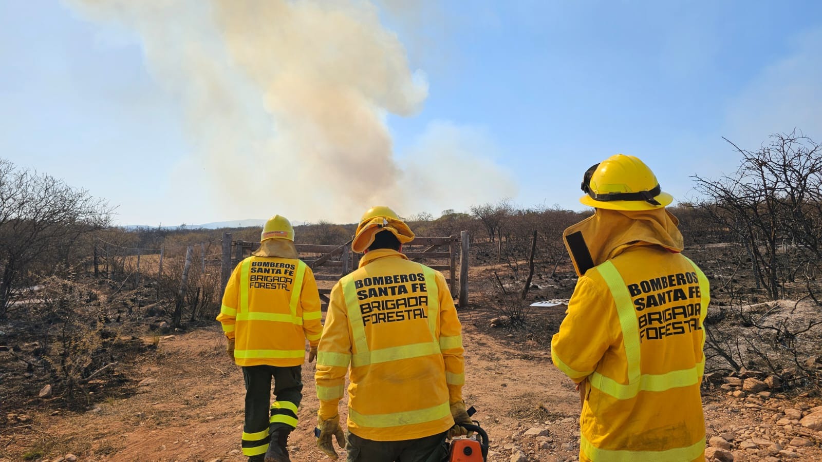 bomberos santafesinos