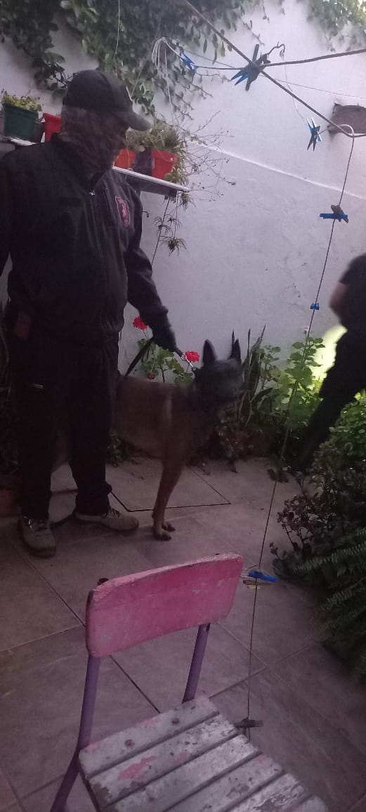 allanamientos sofía delgado