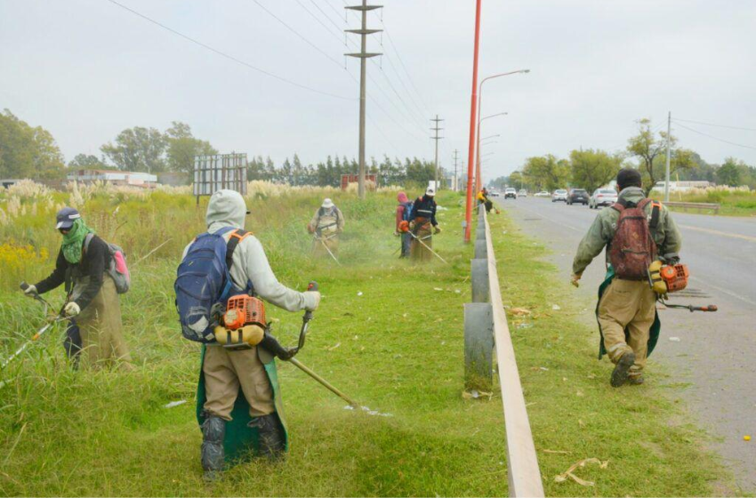 Inician los trabajos de desmalezado de calzadas de las rutas provinciales en Santa Fe