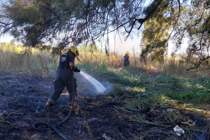 incendio bosque de los constituyentes