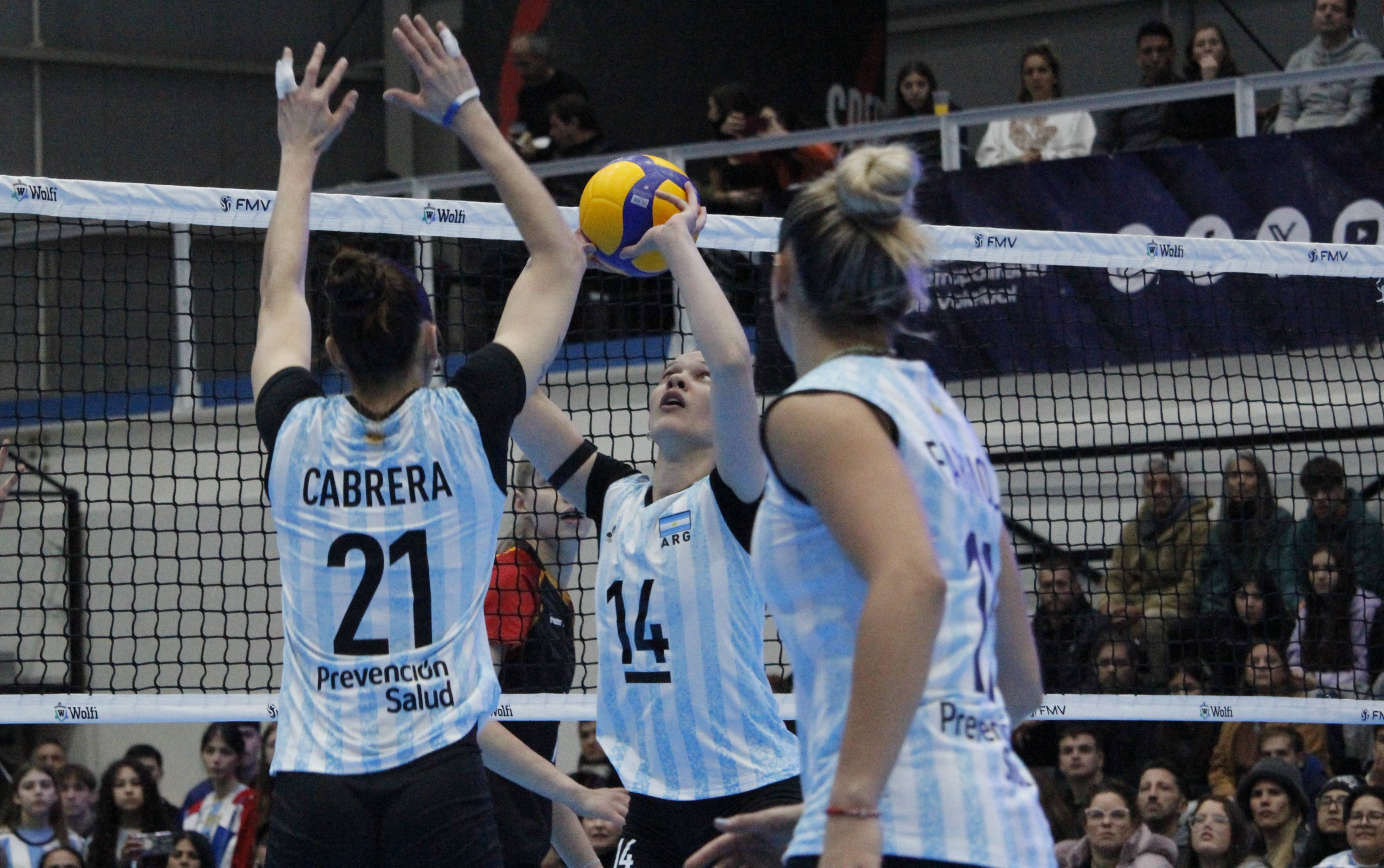 las panteras