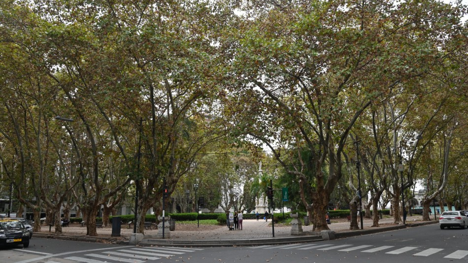 plaza 25 de amyo