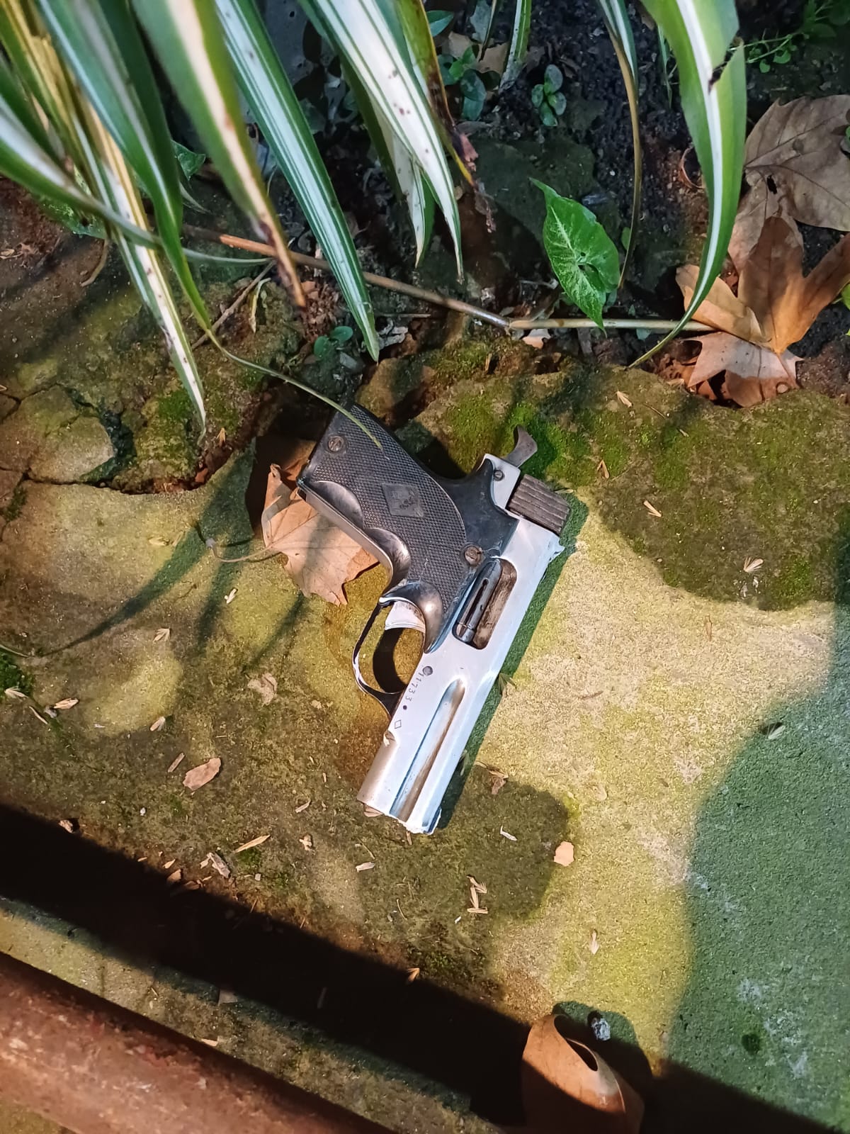 arma incautada