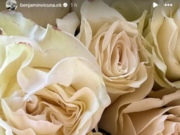 rosas