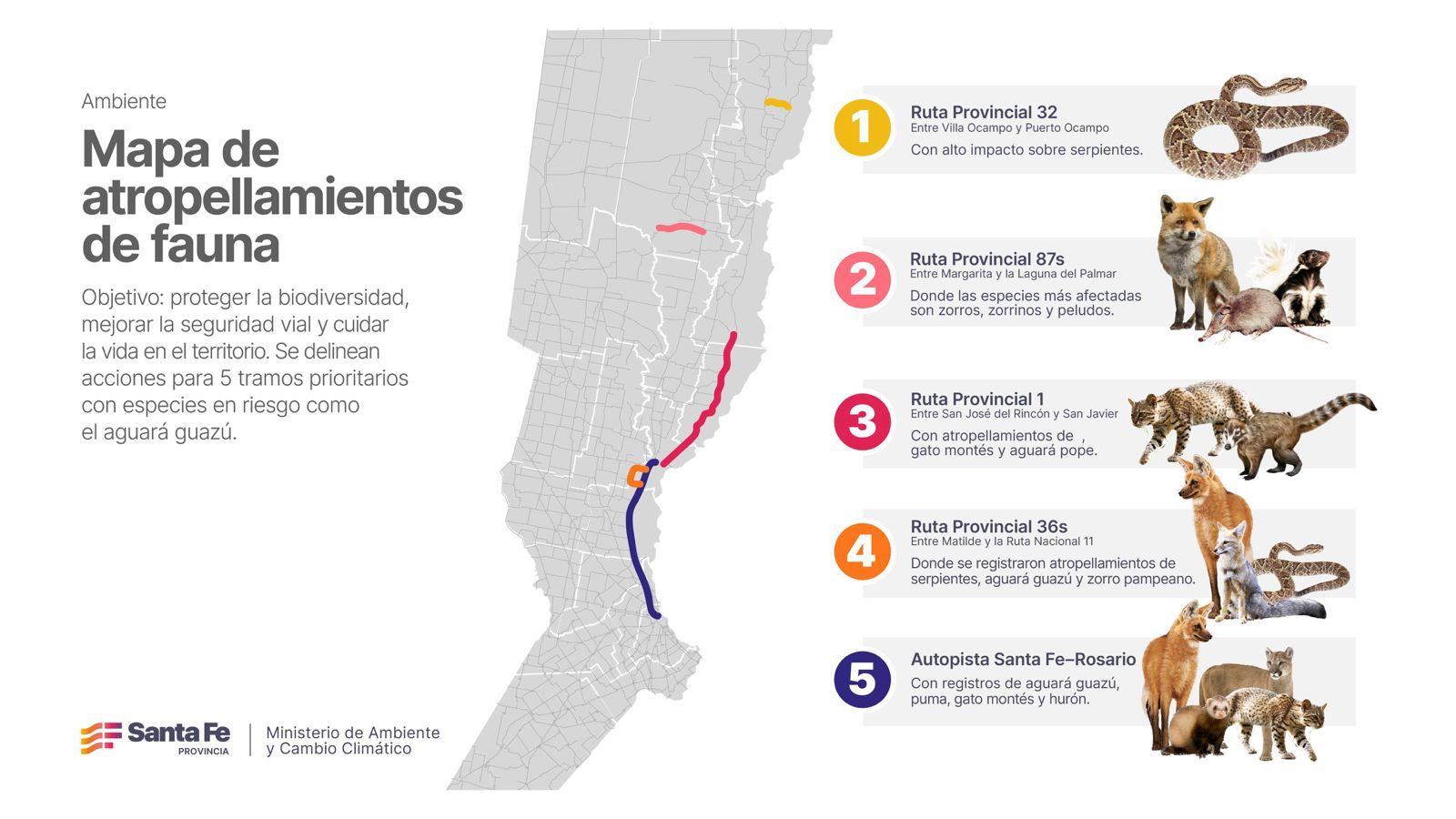 mapa atropellamiento fauna