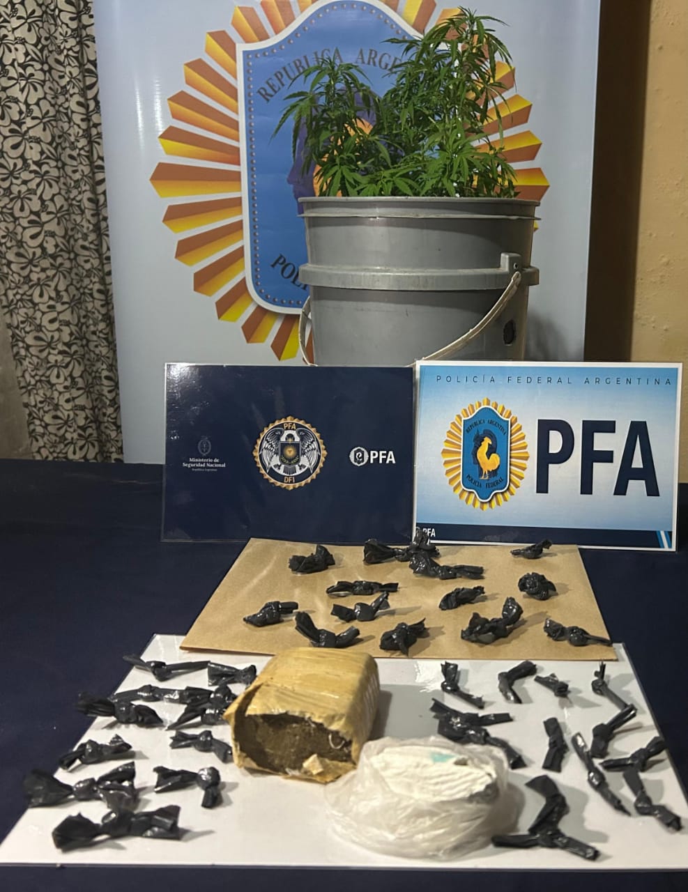 pfa frontera