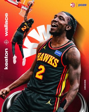 atlanta hawks