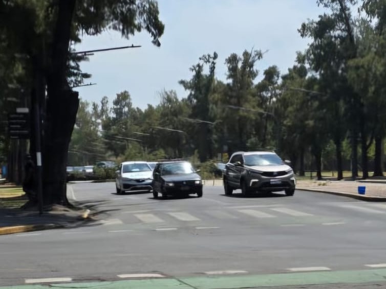 árbol caido oroño y 27